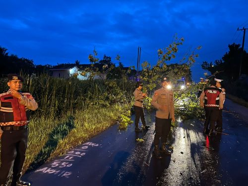 Tim Siaga Tanggap Bencana Polres Lampung Timur Sigap Evakuasi Pohon Tumbang yang Menutup Akses Jalan di Desa Gedung Dalem