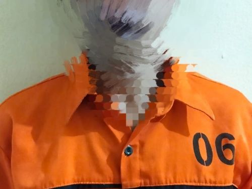 Tim Tekab 308 Presisi Polres Lampung Timur Ungkap Kasus Pencurian Sepeda Motor di Bandar Sribhawono